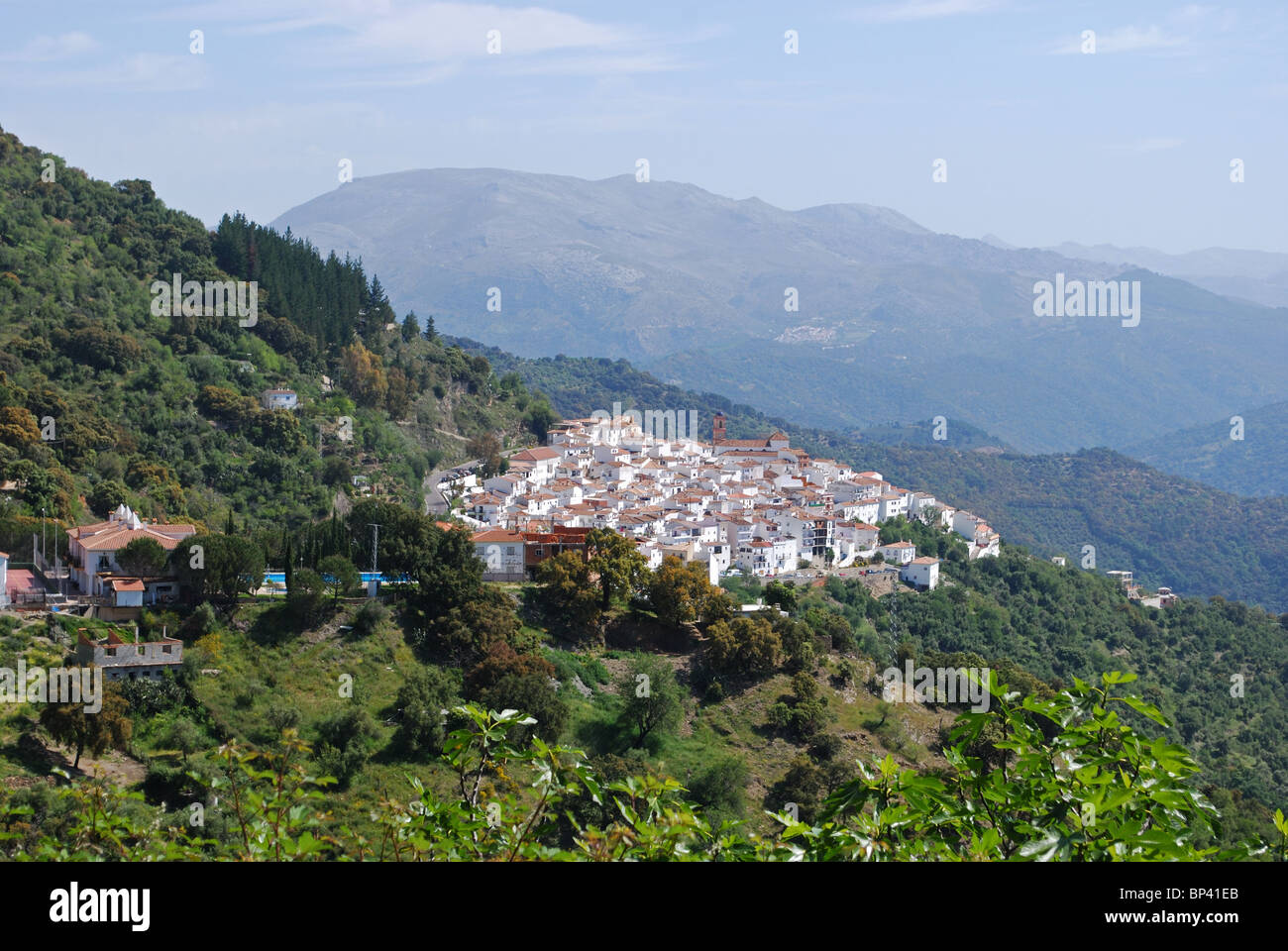 Gesamtansicht der Stadt und die Berge, Pueblo Blanco, Algatocin, Provinz Malaga, Andalusien, Spanien, Westeuropa. Stockfoto