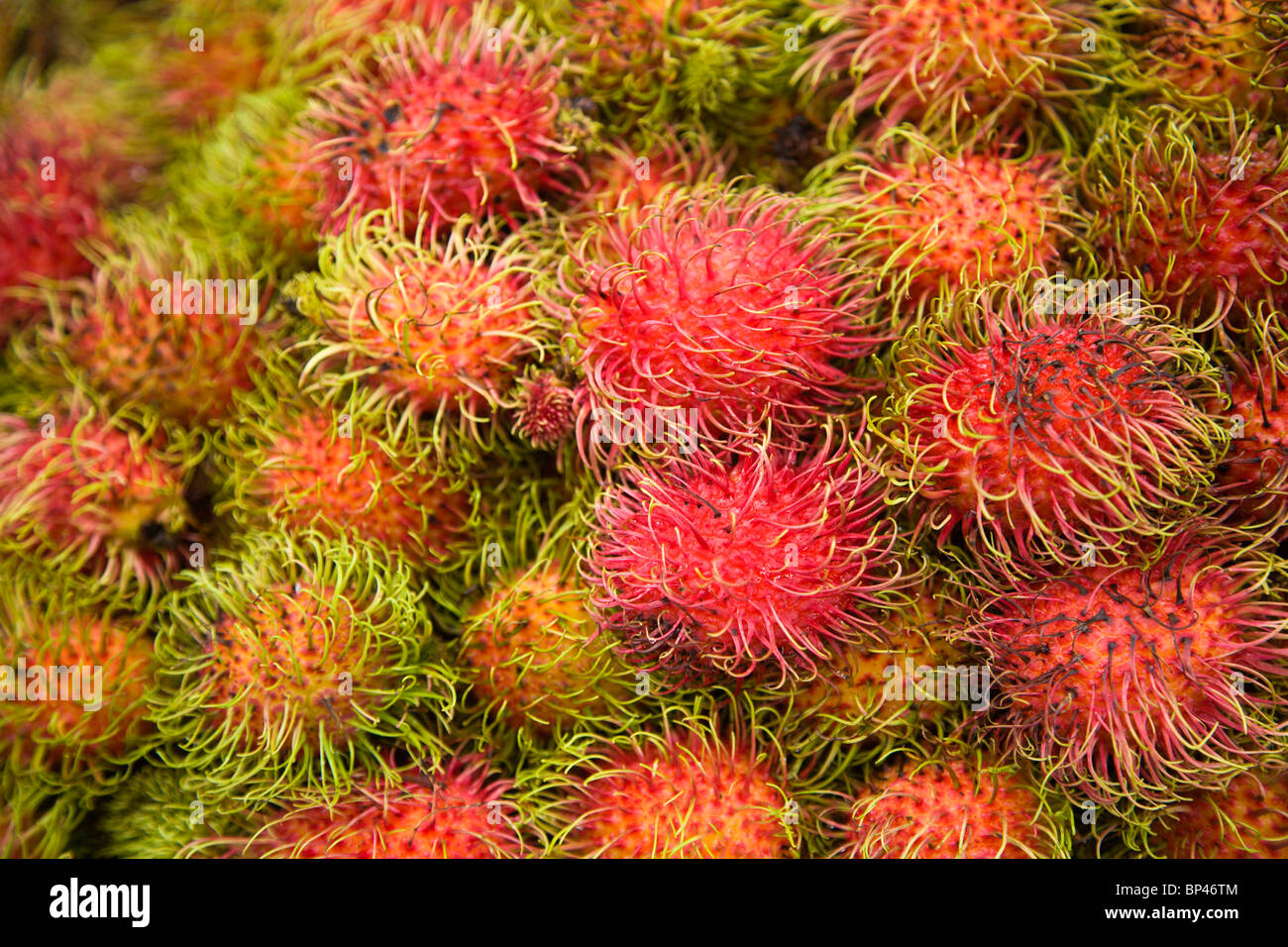 Rombutan Obst, Central Market, Hauptstadt Stadt Kuala Lumpur, Malaysia-Halbinsel, Australien, Südostasien Stockfoto