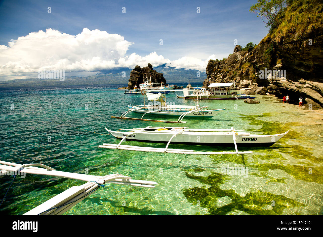 Apo Island, 10km von Dumaguete, Hauptstadt von Negro Oriental Island, Philippinen, Südostasien Stockfoto