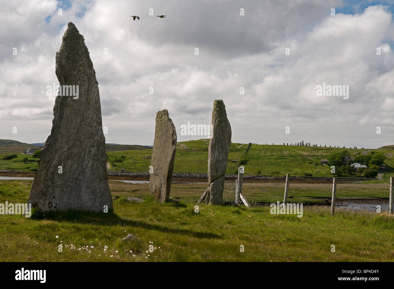 Cnoc Ceann ein "Ghàrraidh No 2 Steinkreis in der Nähe von Calanais, Isle of Lewis äußeren Hebriden, Schottland.    SCO 6274 Stockfoto
