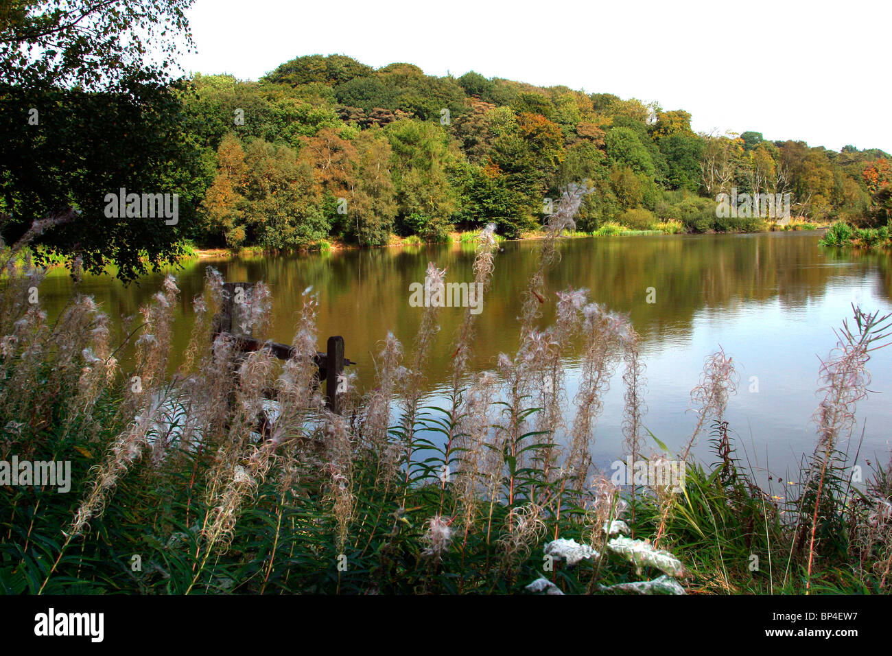 Großbritannien, England, Cheshire, Stockport, Disley, Lyme Park, See Stockfoto