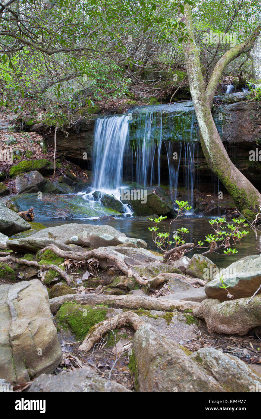 Fort Payne, AL - Apr 2009 - Wasserfall im DeSoto State Park in Fort Payne, Alabama Stockfoto