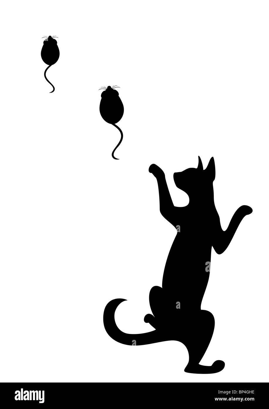 Die Silhouette einer schwarzen Katze, die an Mäusen jagt Stockfoto