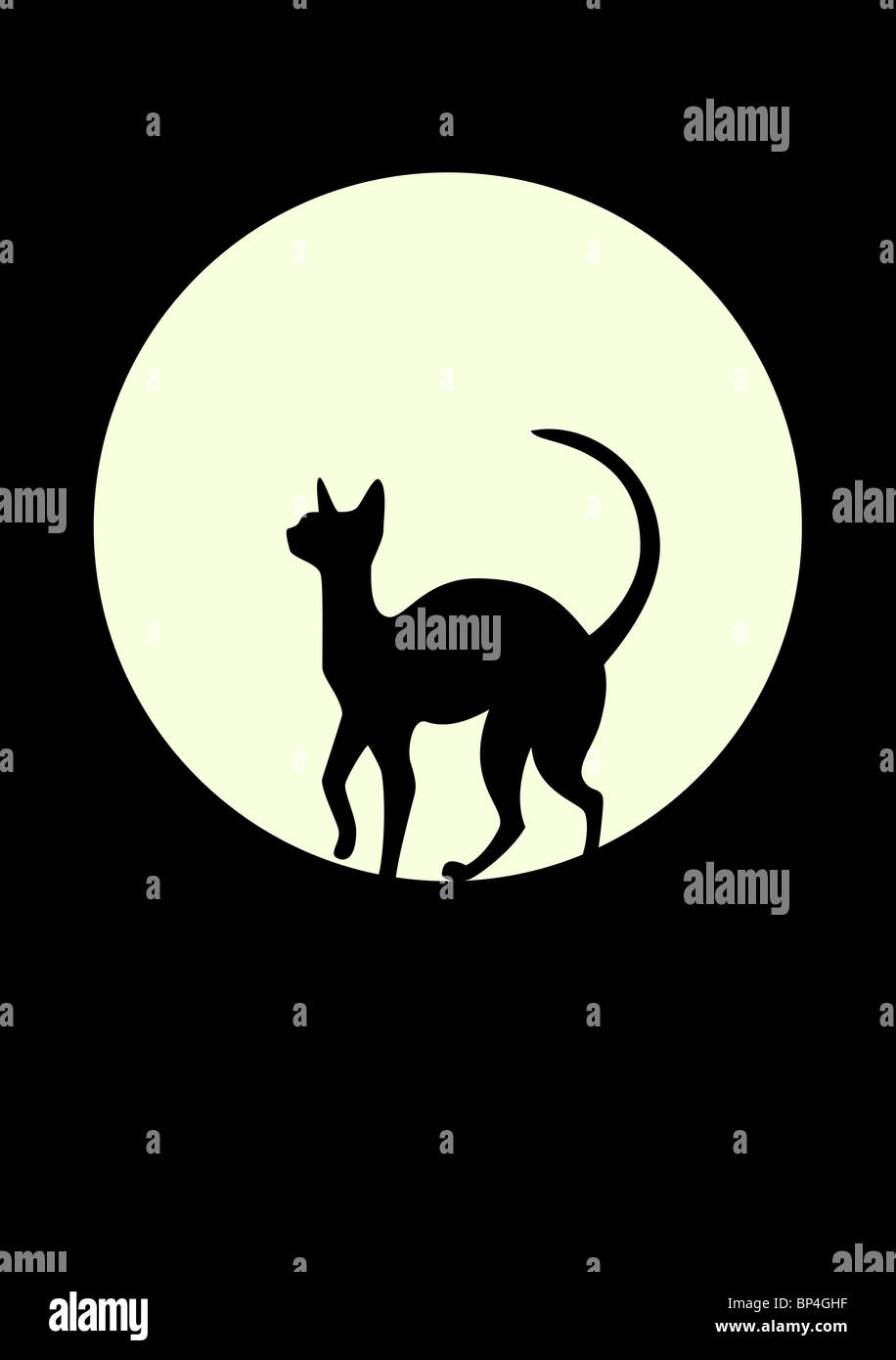 Silhouette einer schwarzen Katze gegen den Mond Stockfoto