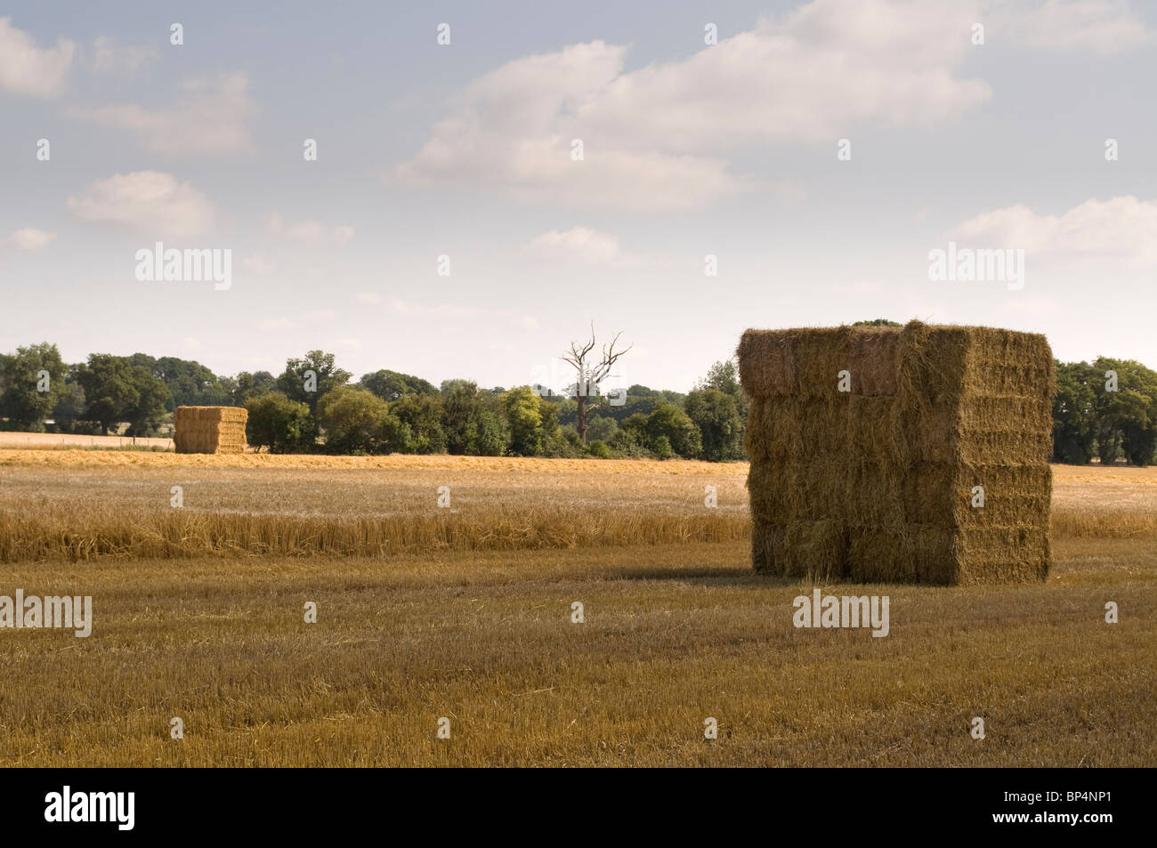 Geerntet, Strohballen und landwirtschaftliche Flächen in der Chilterns Buckinghamshire UK Stockfoto