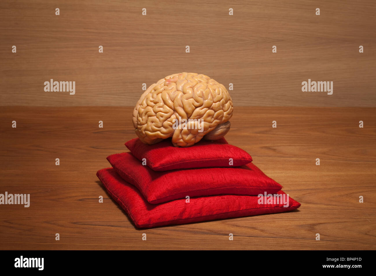 Konzept-Gehirn auf roten Kissen Stockfoto