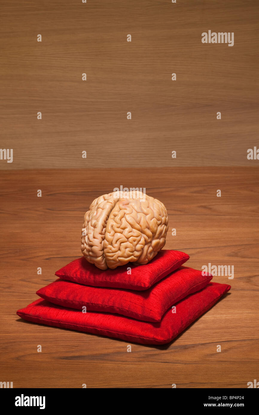 Konzept-Gehirn auf roten Kissen Stockfoto