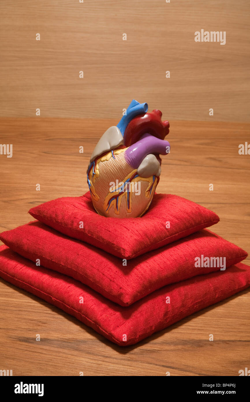 Kunststoff Herz Modell auf Stapel von roten Kissen Stockfoto