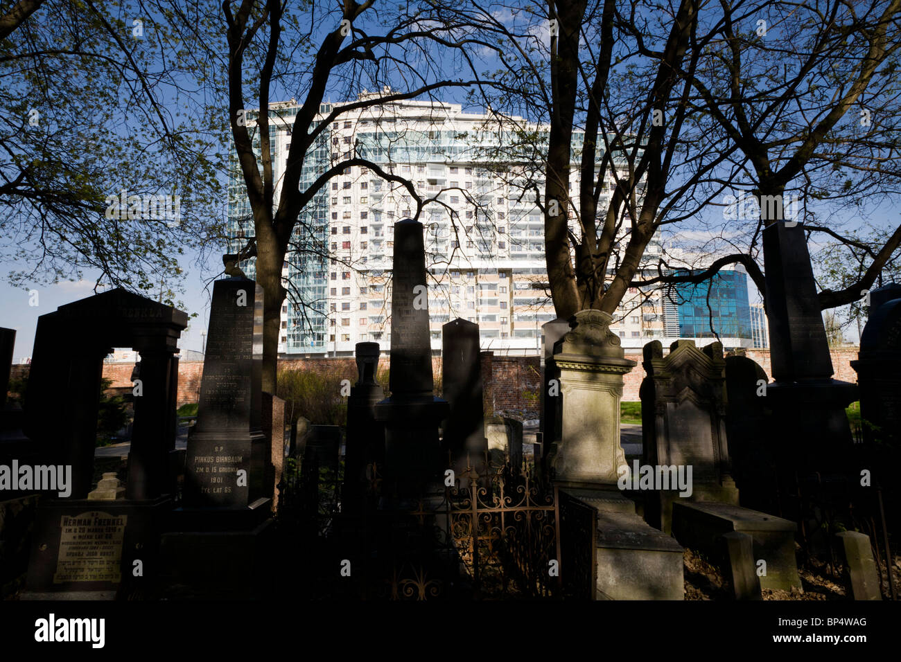 Der jüdische Friedhof in Okopowa Straße. Warschau-Polen Stockfoto