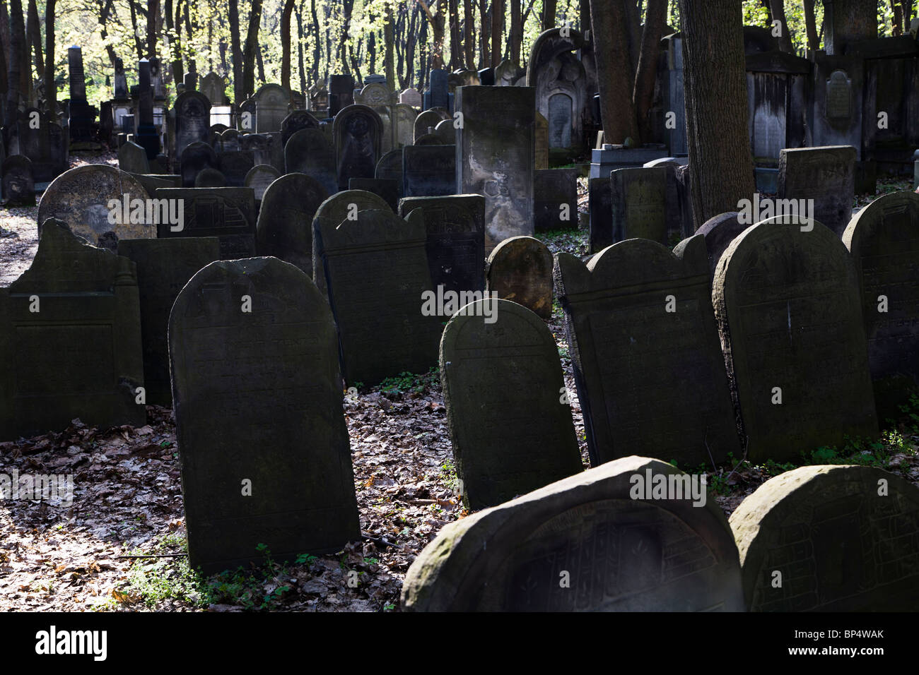 Der jüdische Friedhof in Okopowa Straße. Warschau-Polen Stockfoto