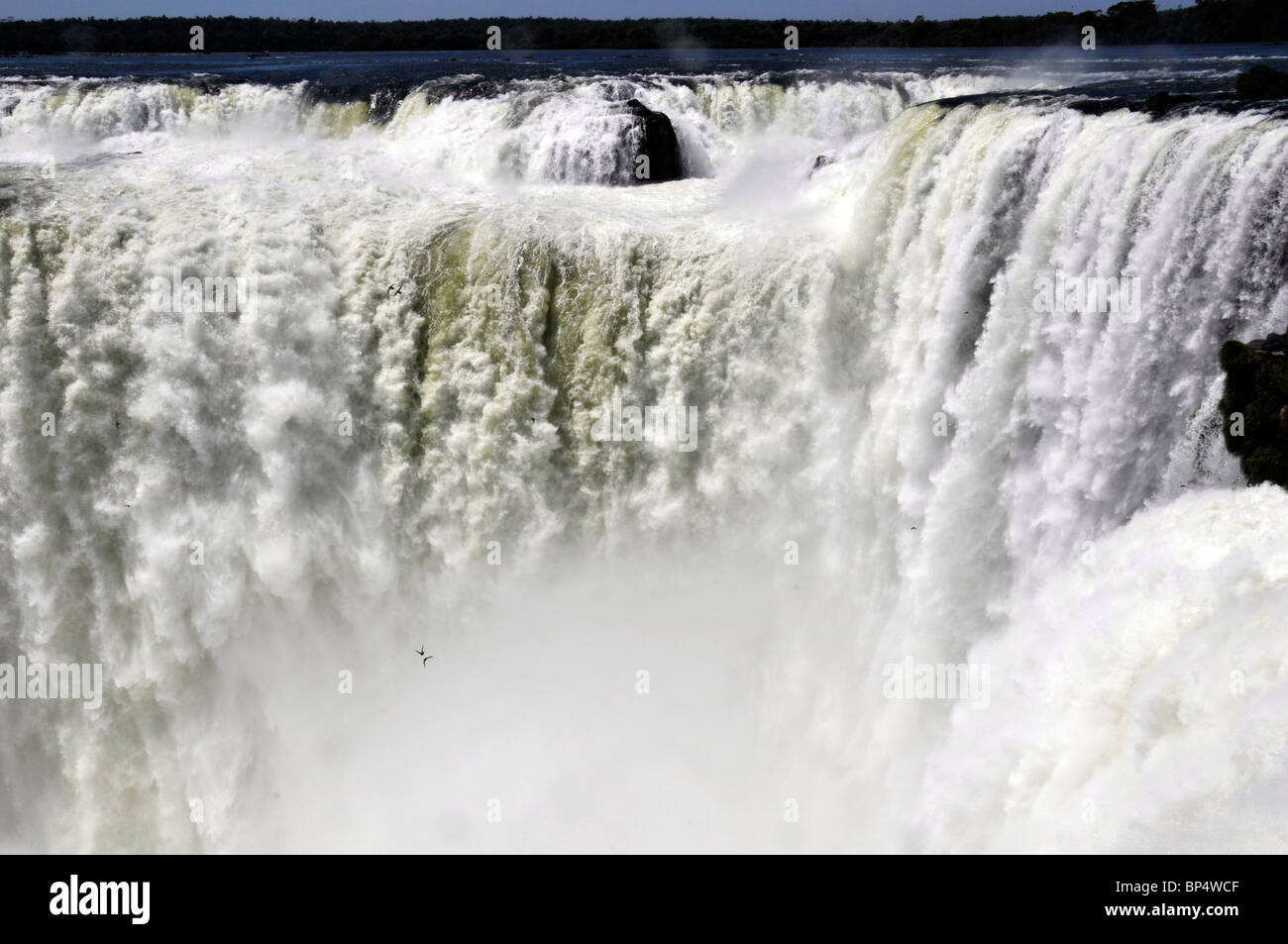 Teufelskehle, Iguassu oder Iguazu Wasserfälle Nationalpark, Argentinien Stockfoto