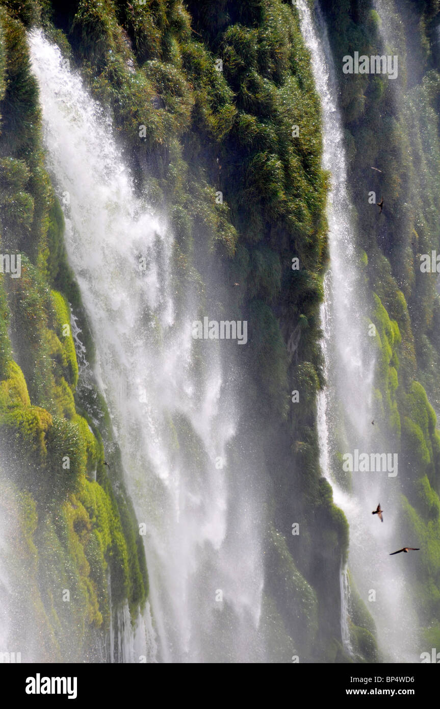 Fällt neben Teufelskehle, Iguassu oder Iguazu falls National Park, Argentinien Stockfoto