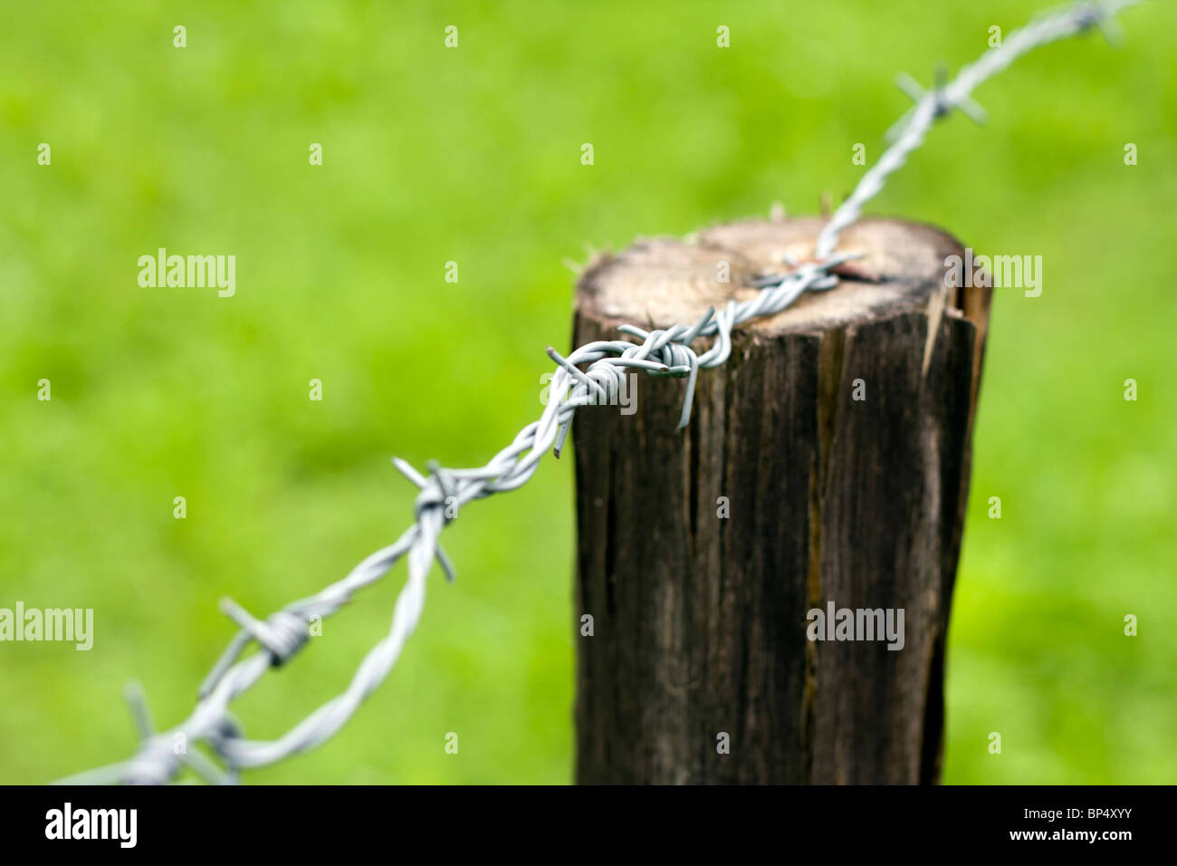 Detail von der einfachen Stacheldraht. Stockfoto