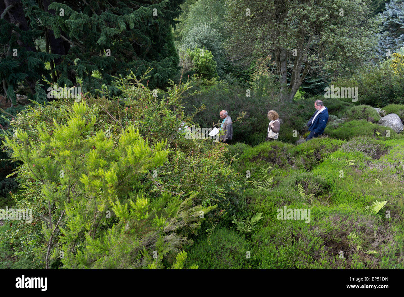 Cragside historisches Haus Northumberland UK - Menschen im Steingarten Garten Stockfoto