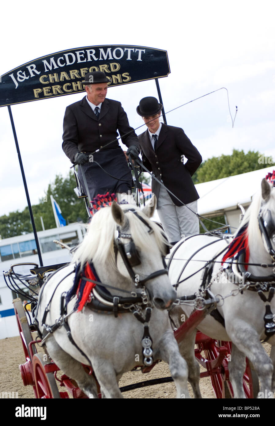 Percharon Arbeitspferde auf dem königlichen Festival des Pferdes Stockfoto