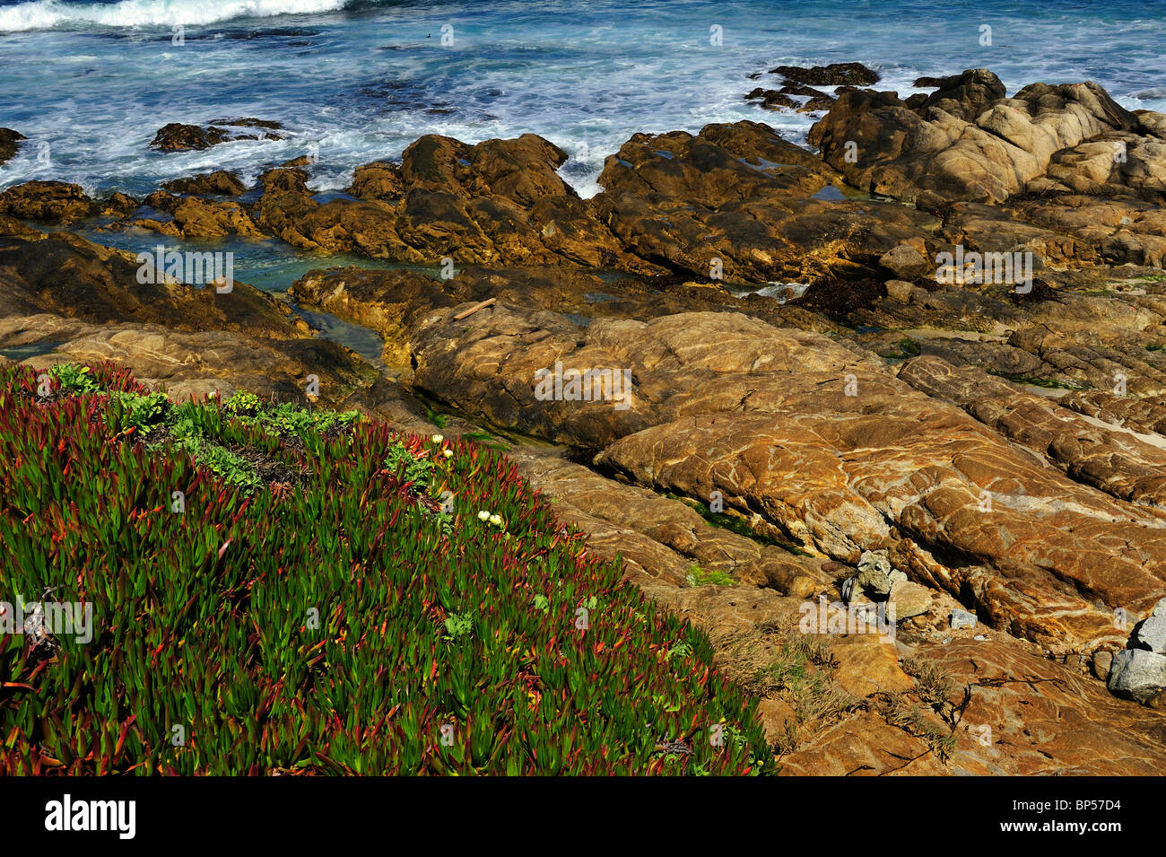 Wellen gegen Felsen Pebble Beach Kalifornien Gezeitenbecken Meer Fig Khoi Chilensis Iceplant Khoi aequilaterus Stockfoto