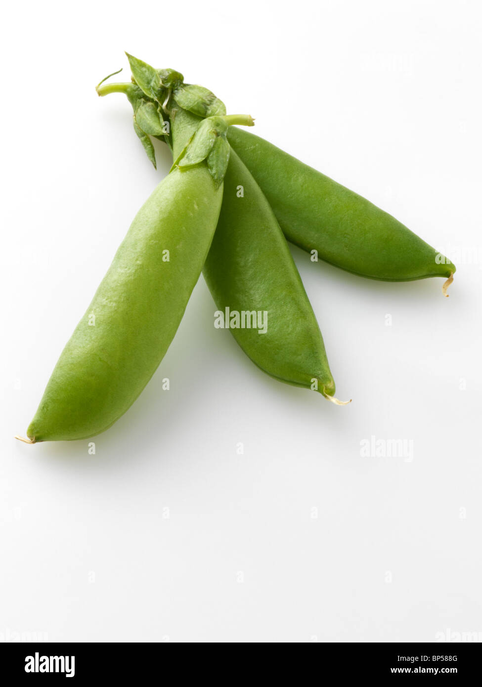 Zuckerschoten auf weißem Hintergrund Stockfoto
