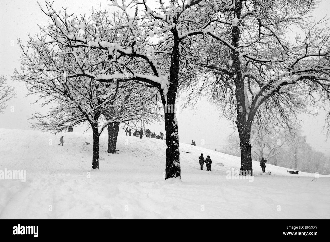 Winter-Wunderland-Szenen aus einem Rekord Schneefall in Dallas, Texas USA Stockfoto