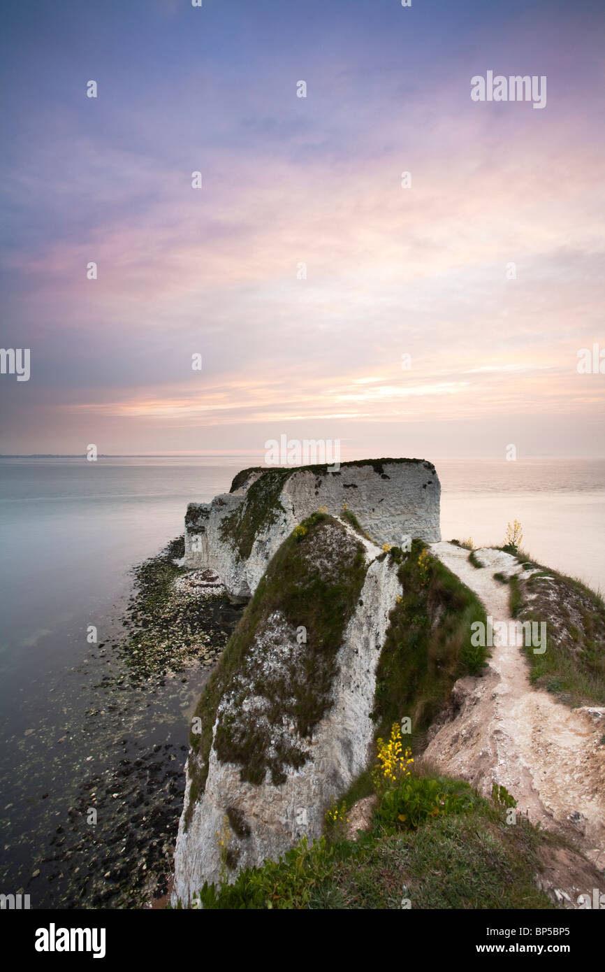 Alten Harry Felsen im Morgengrauen auf Dorset Jurassic Coast in der Nähe von Poole, Uk Stockfoto