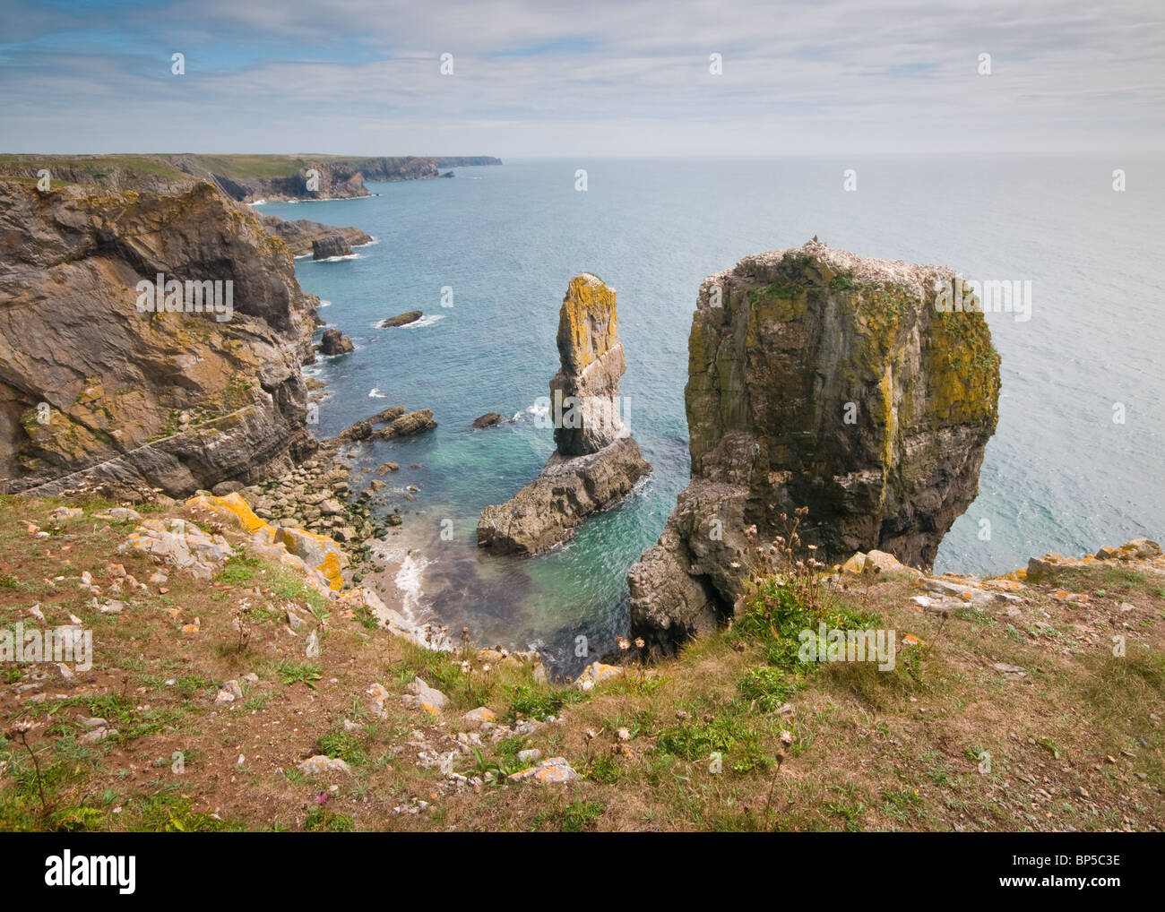 Stack Rock Pembrokeshire Stockfoto