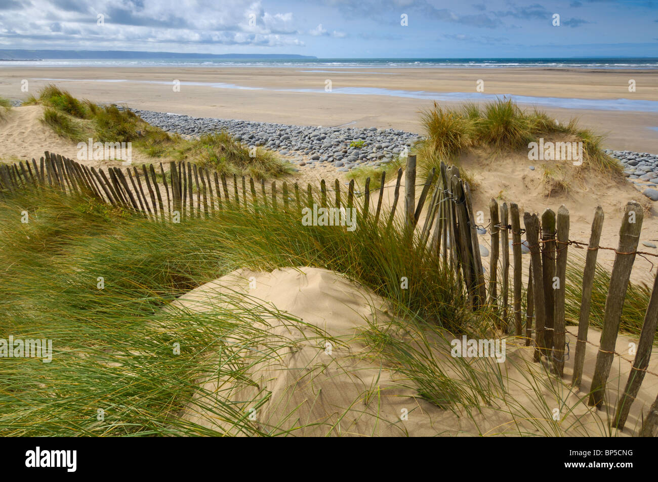 Sanddünen in Northam Burrows auf dem South West Coast Path in der Nähe von Westward Ho! in Devon, England. Stockfoto