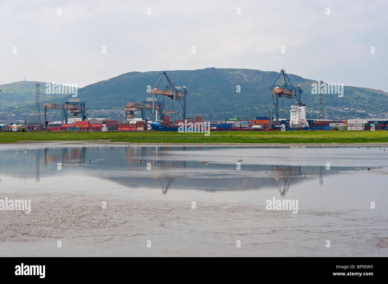 Eine Landschaft aus RSPB Belfast Hafen Reserve, Queens Island Stockfoto