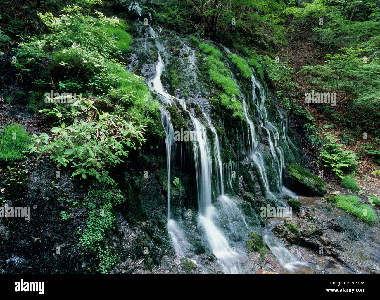 Shiramizu Wasserfall, Kanna, Tano, Gunma, Japan Stockfoto