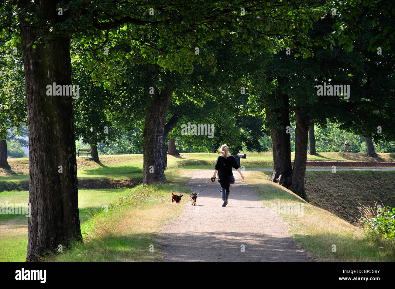 Junge Frau, die mit ihren Hunden läuft, KönigskBastion, Kastellet, Kopenhagen (Kobenhavn), Königreich Dänemark Stockfoto