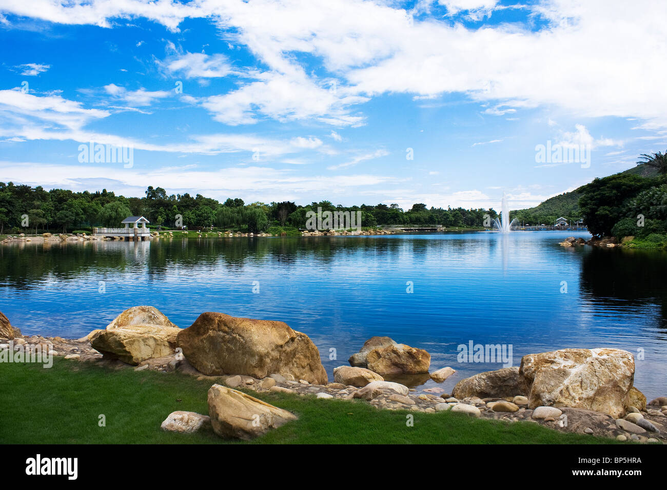 See im tiefen Wald Stockfoto