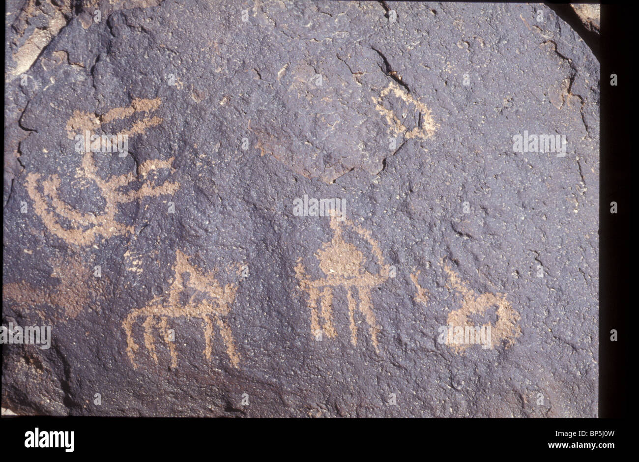 3462. MT. CARCOM, FELSZEICHNUNGEN, DIE EINHEIMISCHEN TIEREN UND JAGDSZENEN Stockfoto