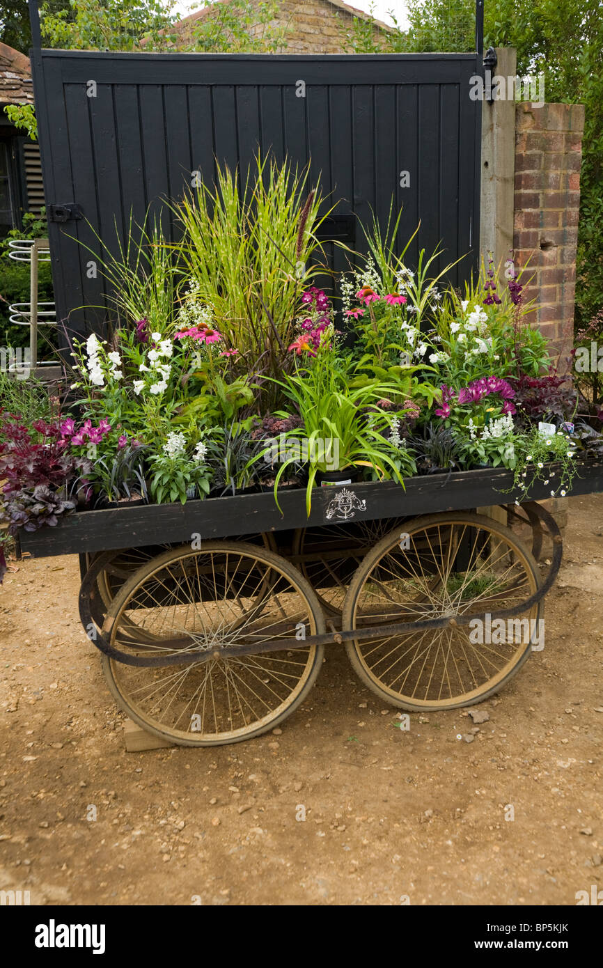 Blumen – gepflanzt, um inspirieren – bei einer Anordnung / Pflanzen / Pflanzen bei Petersham Nurseries, Petersham. Richmond Upon Thames. UK Stockfoto