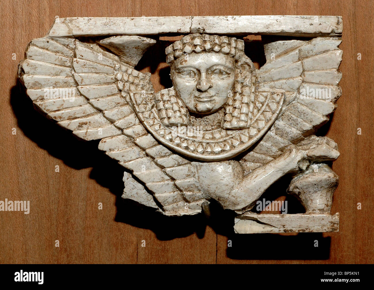 Elfenbein Platte Darstellung einer Sphinx ein geflügeltes Wesen mit dem Körper eines Löwen & eines menschlichen Kopfes. Phönizische schnitzen aus Arslan Tash) Stockfoto