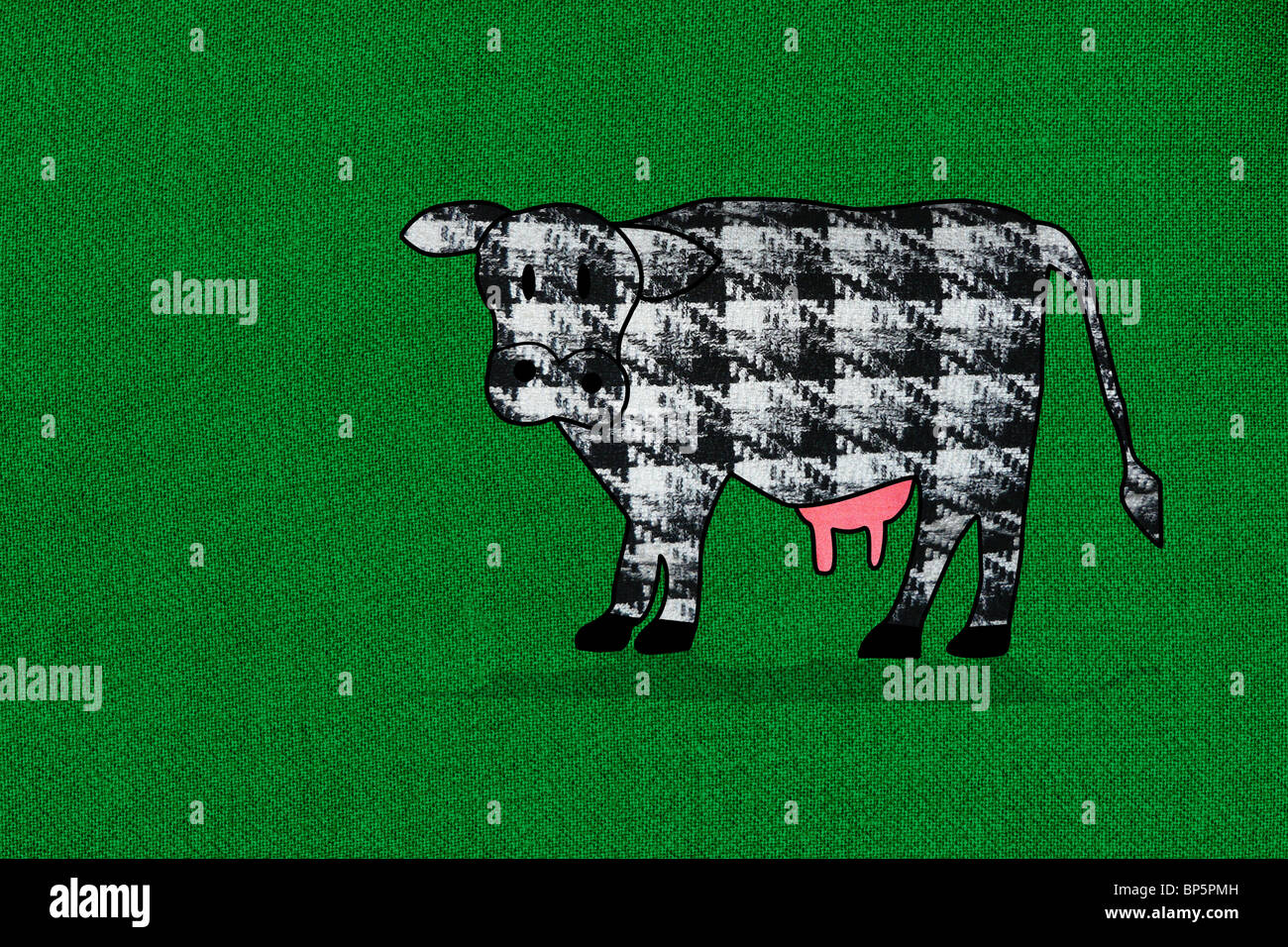 Dogtooth überprüfen Kuh auf grünem Hintergrund Stockfoto