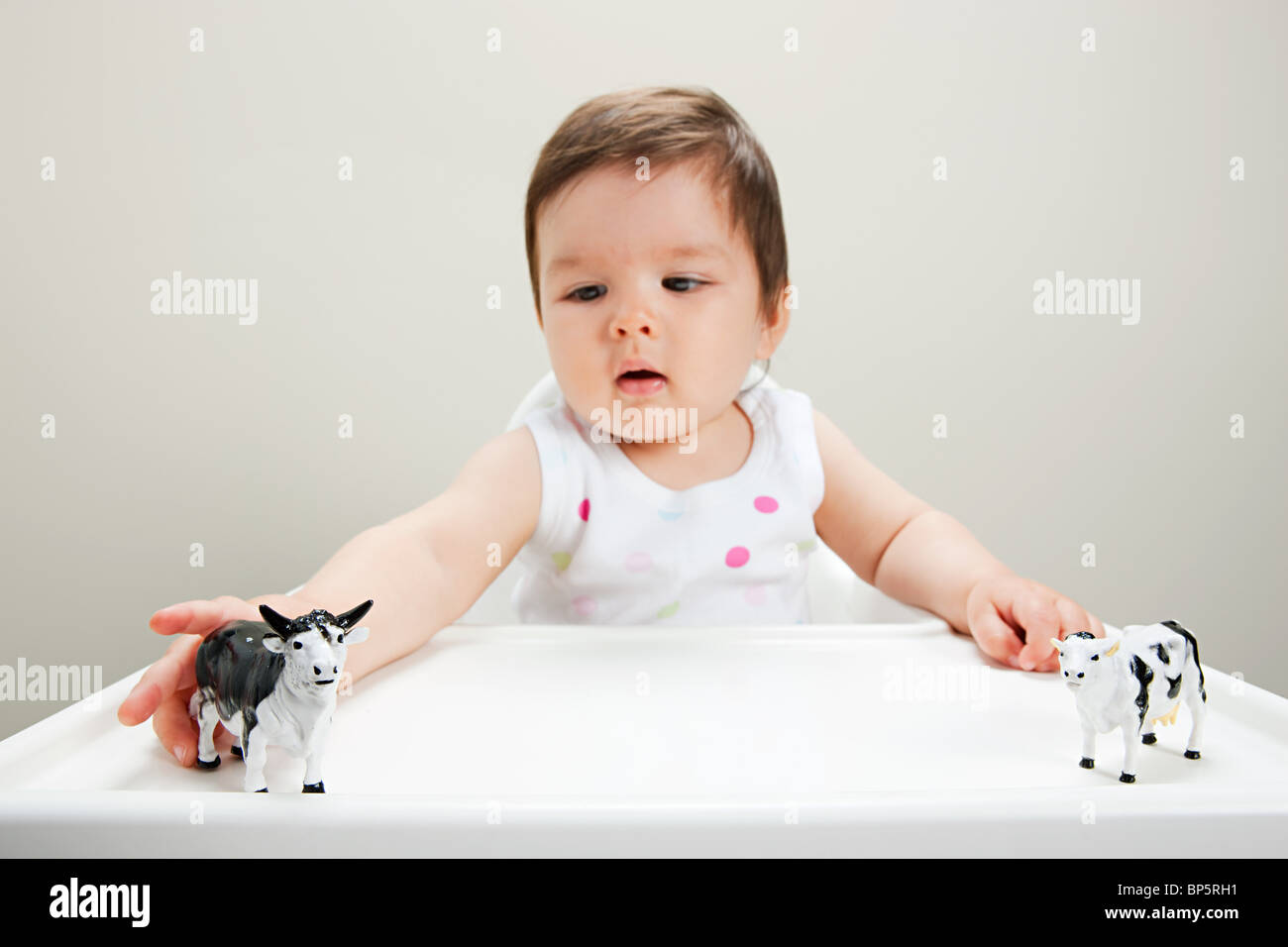 Hochstuhl spielzeug -Fotos und -Bildmaterial in hoher Auflösung – Alamy