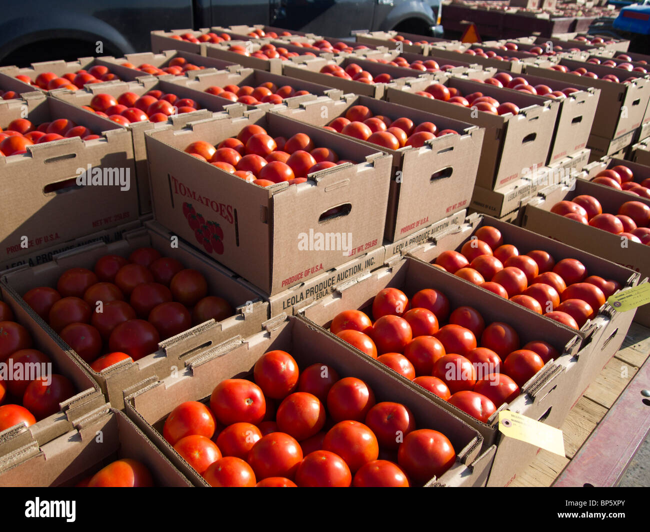 Tomaten auf einem Bauernmarkt Stockfoto