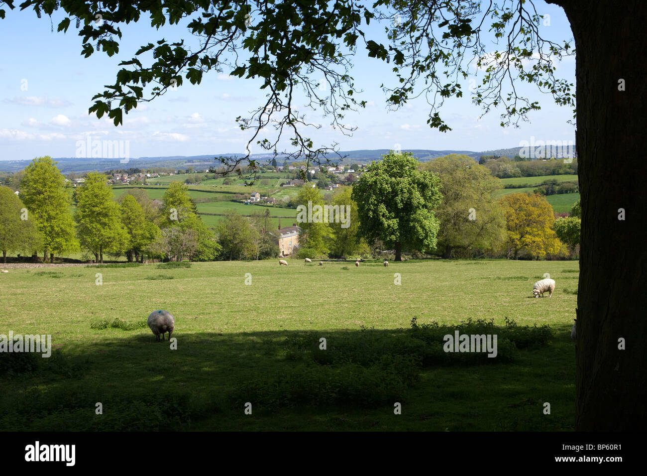 Den südlichen Teil der Forest of Dean Blickrichtung Prioren Lodge, SW von Brassen, Gloucestershire Stockfoto