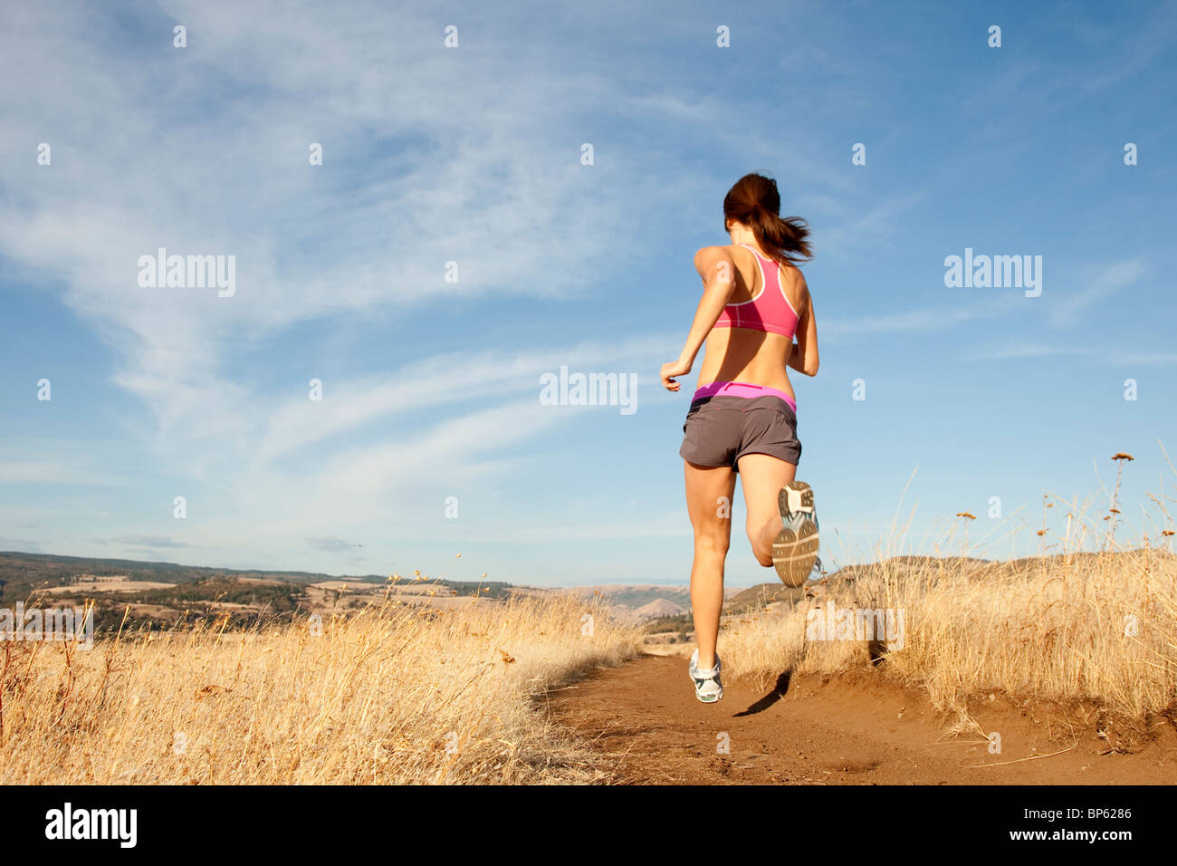 Sportliche Frauen Trail-running-durch einen goldenen Feld in Oregon. Stockfoto