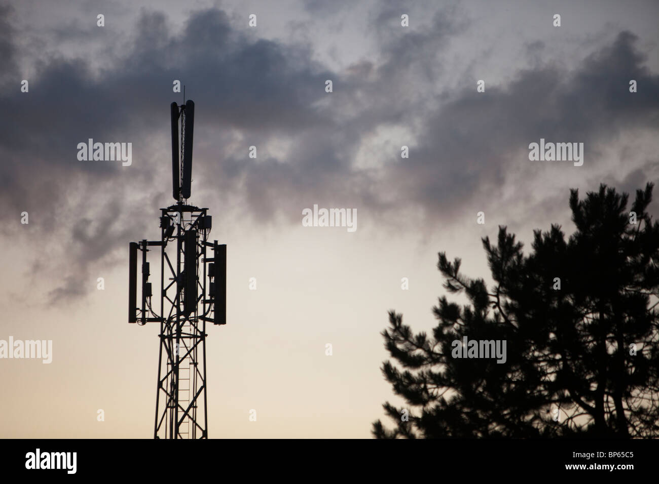 Ein Handy-Mast in Norfolk, England. Stockfoto