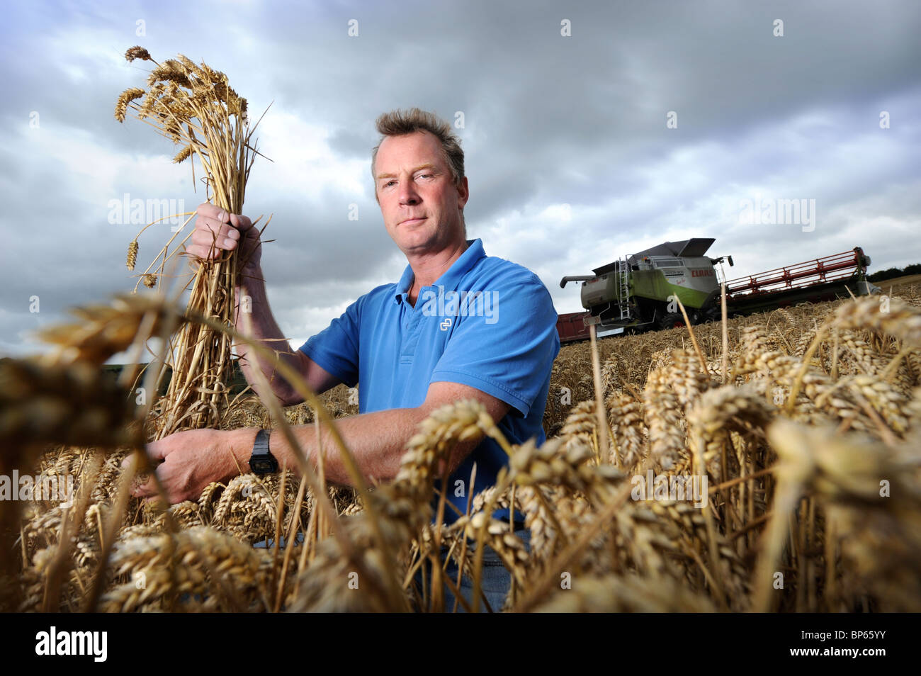 Eine Acker-Bauer aus Wiltshire in einem Feld von Weizen UK Stockfoto