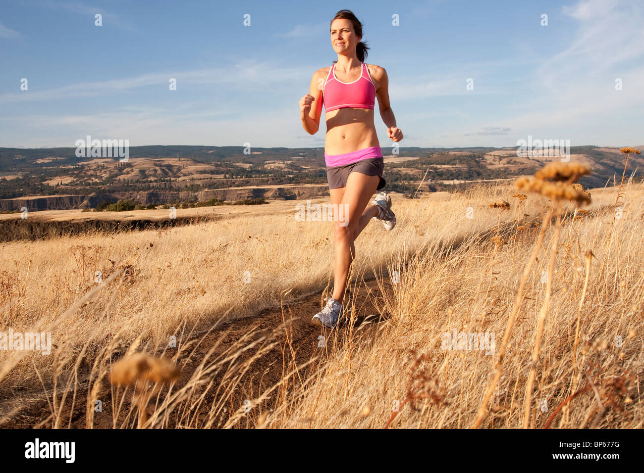 Sportliche Frauen Trail-running-durch einen goldenen Feld in Oregon. Stockfoto