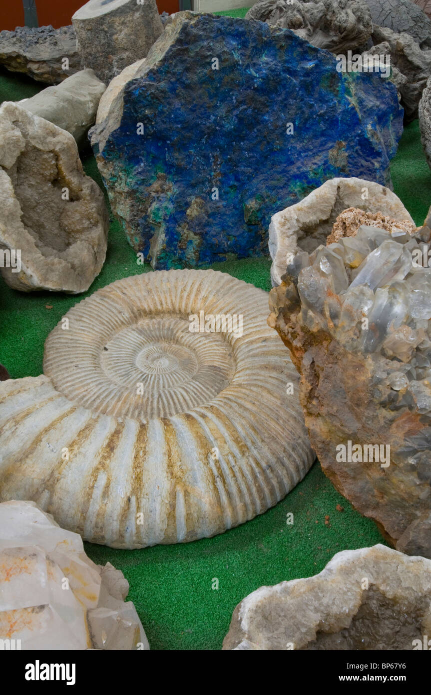 Geologie-Proben auf dem Display an Chapmans Gem & Mineral Shop & Museum Stockfoto
