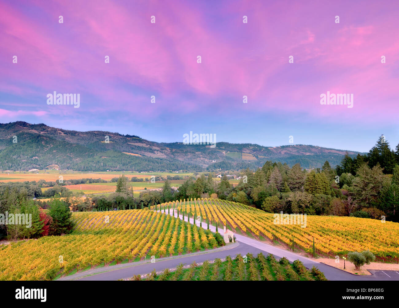 Sonnenuntergang mit Herbst farbige Weinberge im Castello di Amorosa. Napa Valley, Kalifornien. Eigentum freigegeben Stockfoto