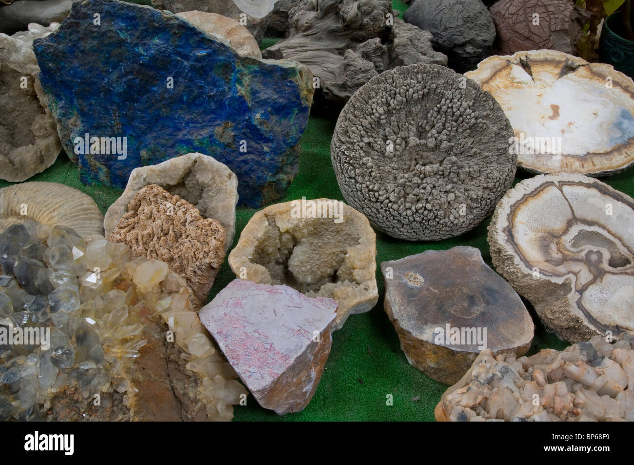 Geologie-Proben auf dem Display an Chapmans Gem & Mineral Shop & Museum Stockfoto