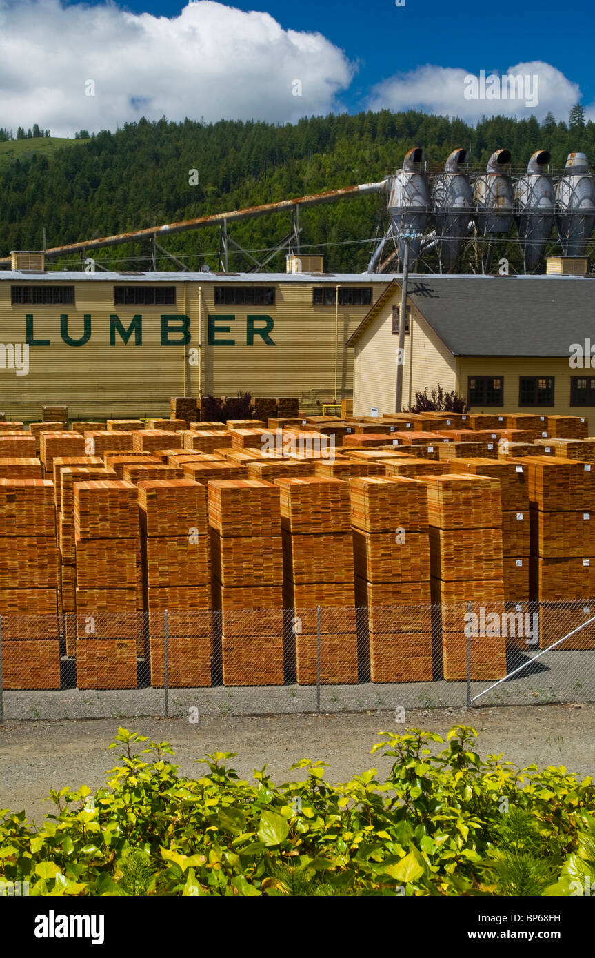 Gestapelten Haufen von Holzplatten auf der Pacific Lumber Company Sägewerk in Scotia, Humboldt County, Kalifornien Stockfoto