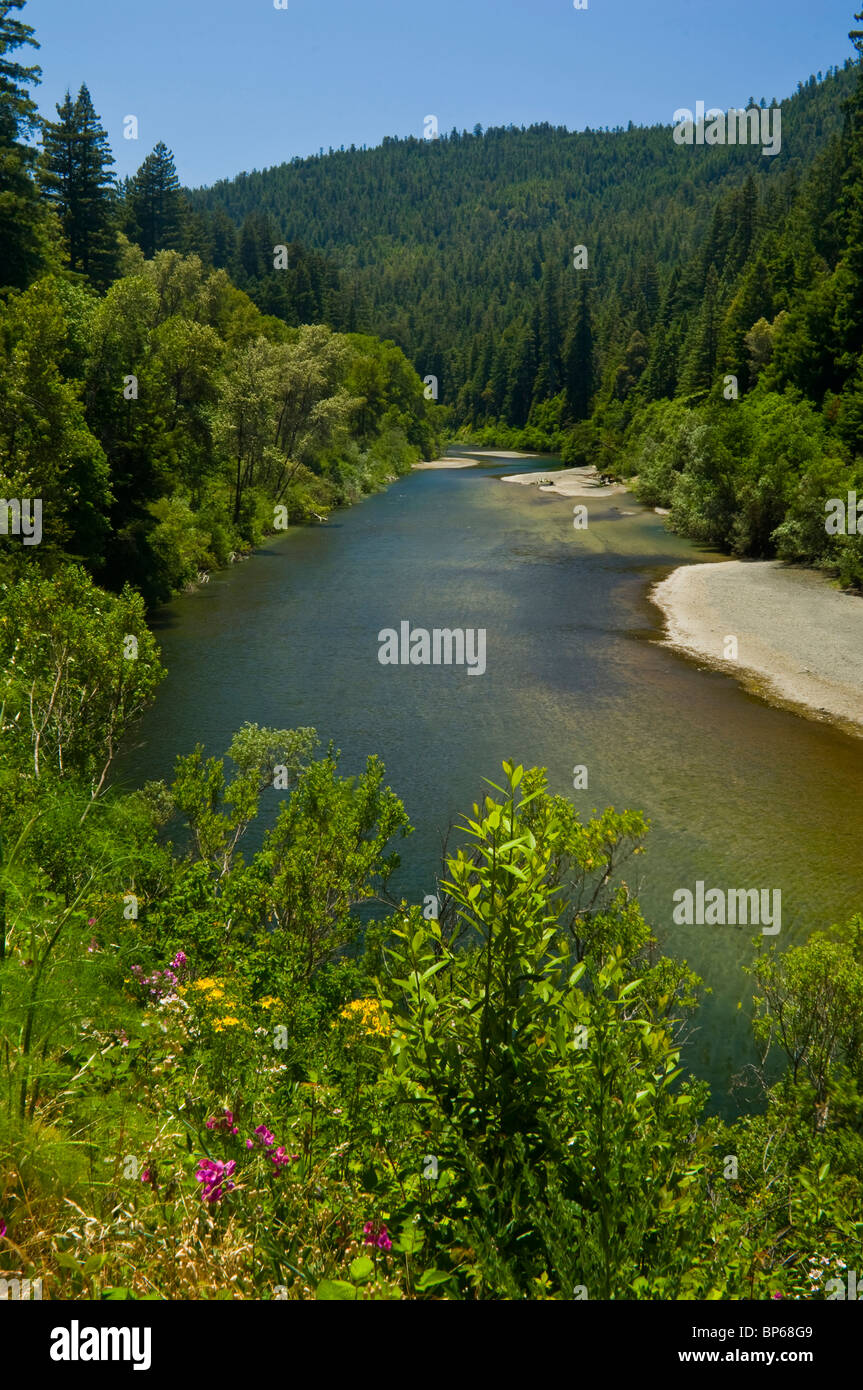 Der Aal-Fluss entlang der Avenue of the Giants, Humboldt County, Kalifornien Stockfoto