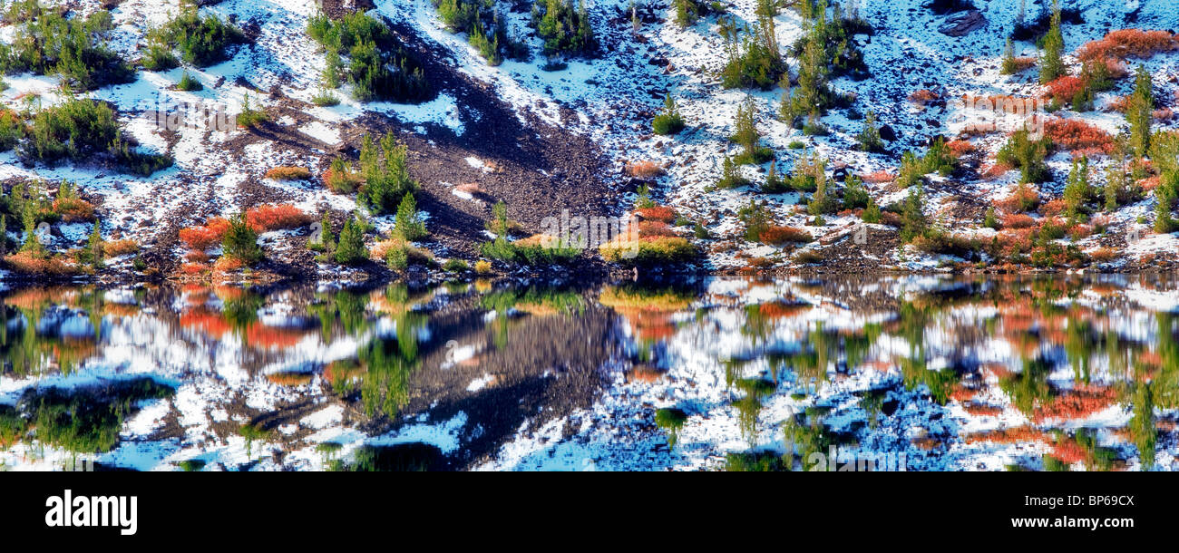 Ellery Lake mit Herbstfarben und Reflexion nach Schneefall. Inyo National Forest, Kalifornien Stockfoto