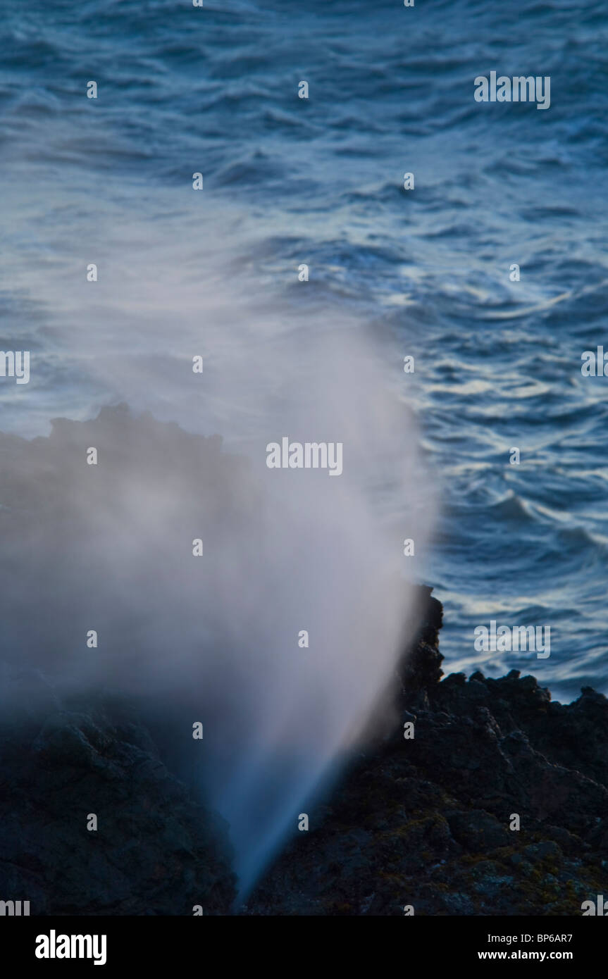 Spurt von Wasser Spritzen im Wind vom Blasloch in Küstenfelsen, Shelter Cove auf der Lost Coast, Humboldt County, Kalifornien Stockfoto