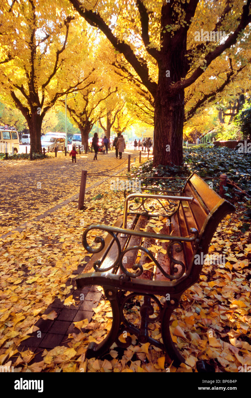 Bank und Herbst Blätter, Minato, Tokio, Japan Stockfoto