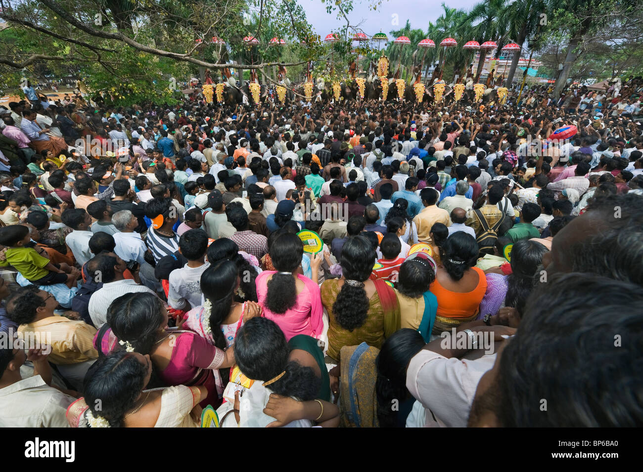 Indien Kerala Thrissur eine große Menschenmenge auf dem Pooram Elephant Festival Stockfoto Indien Kerala Thrissur eine große Menschenmenge auf dem Pooram Elephant Festival Stockfoto
