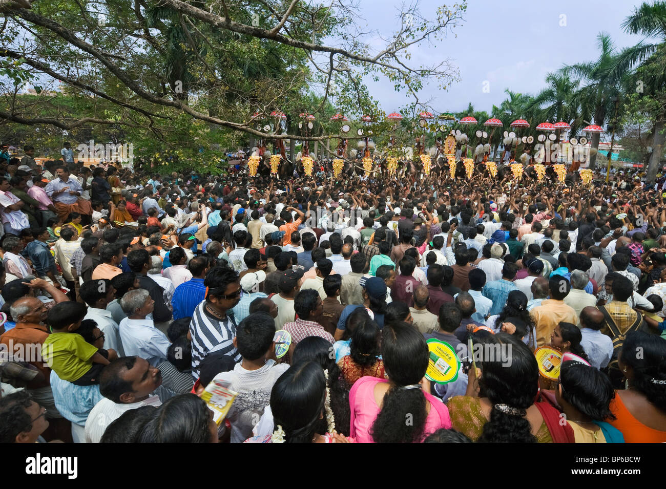 Indien Kerala Thrissur eine große Menschenmenge auf dem Pooram Elephant Festival Stockfoto Indien Kerala Thrissur eine große Menschenmenge auf dem Pooram Elephant Festival Stockfoto